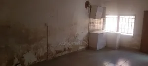 Mold and Damp Treatment