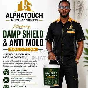 Mold and Damp Treatment
