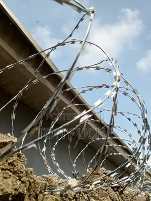 Razor Wire