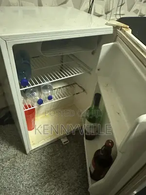 Haier Thermocool Side Bed Refrigerator