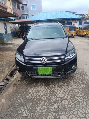 Volkswagen Tiguan 2014 Blue