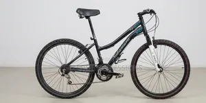 Adult Bicycles