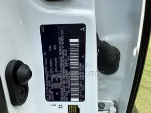 Lexus RX 2022 White