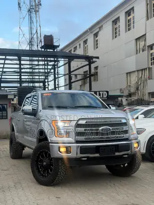 Ford F-150 2017 Gray