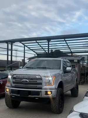 Ford F-150 2017 Gray