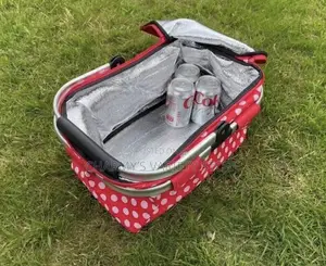 Foldable Picnic Cooler Bag