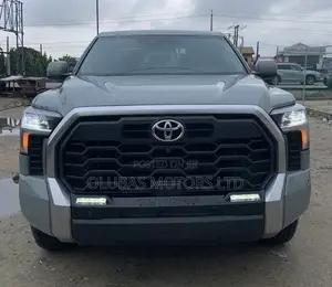 Toyota Tundra 2024 Blue