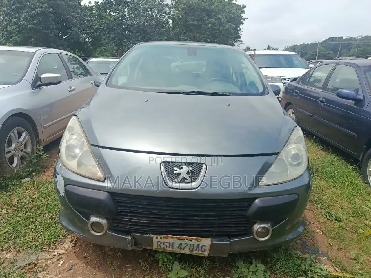 Peugeot 307 2007 Gray