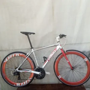 Lightweight Alton Bike