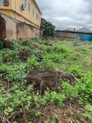 For Sale: 472 SQM of Land in Olowoira Omole Phase2 Extension Lagos