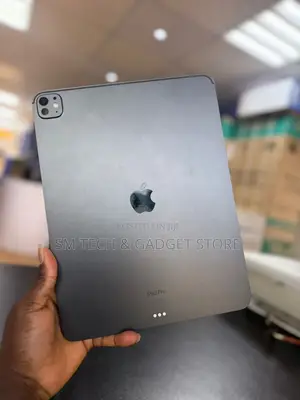 Apple iPad Pro 13 (2024) 256 GB Gray