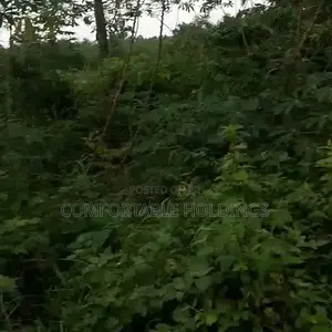 50 Acres of Land Available at Ijaye, Akinyele Local Goverment