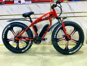Brand New Original Electric Bicycle Big Tire