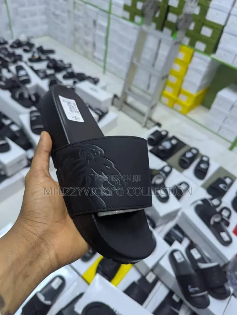 Original Carton Palms Available