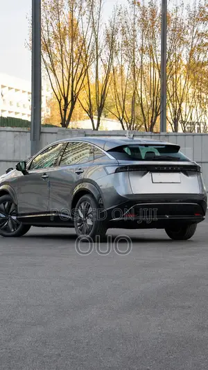 Nissan Ariya 2023 Gray
