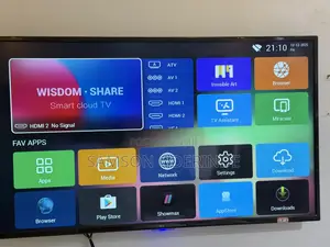 LG TV 55 Inches & Homeflower Speaker