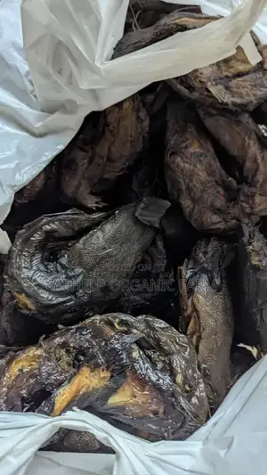 Oven Smoked Catfish 1 Kilo