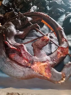 Very Freshly Clean Smoked Monitor Lizard