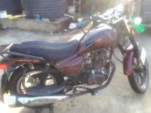 Denstar Lion King 2021 Black