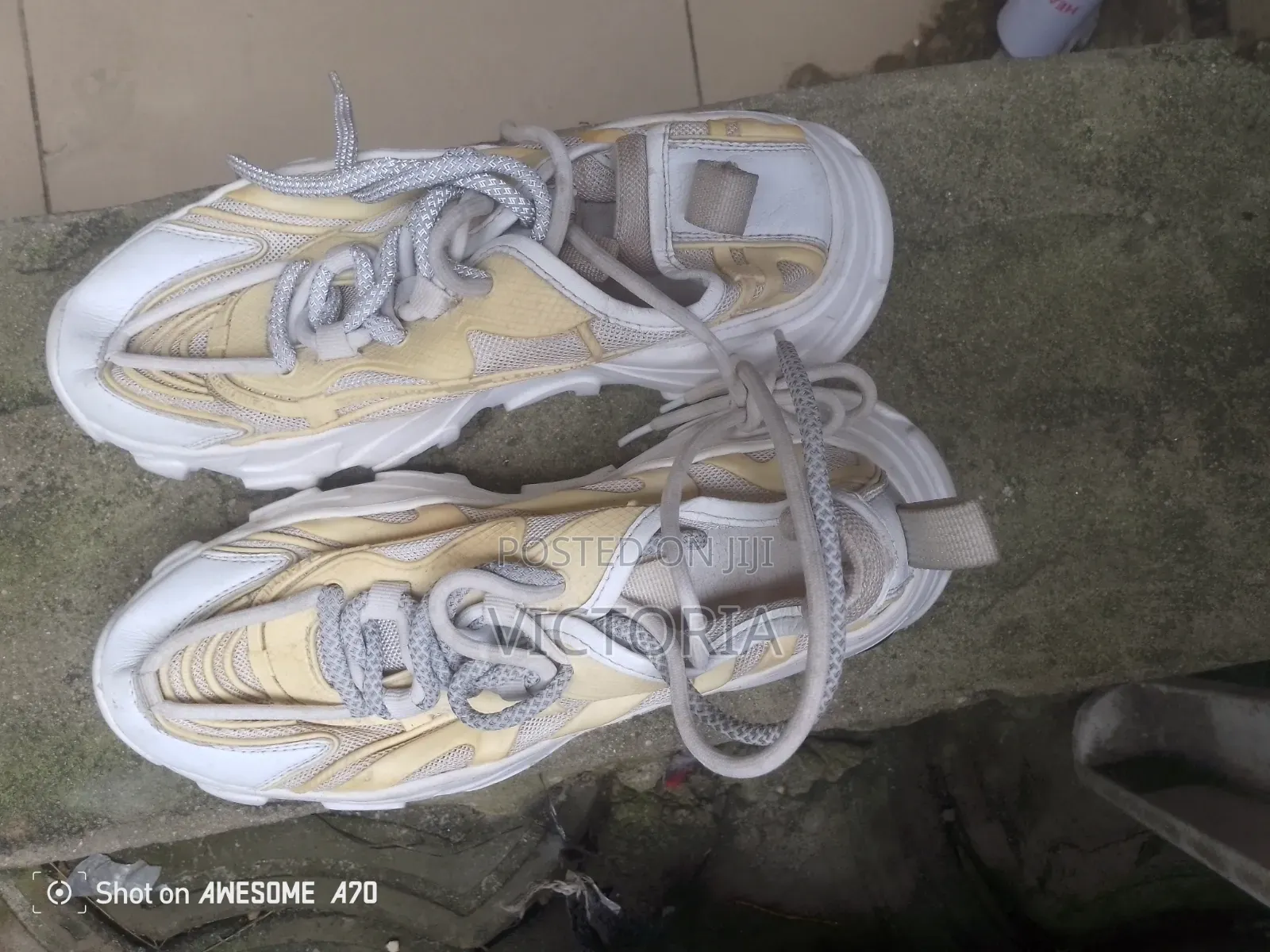 Canvas & Shoe