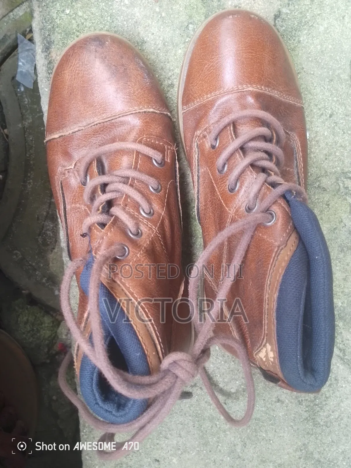Canvas & Shoe