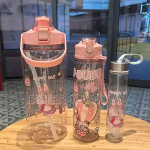 3in1 Character Water Bottle