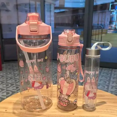 3in1 Character Water Bottle