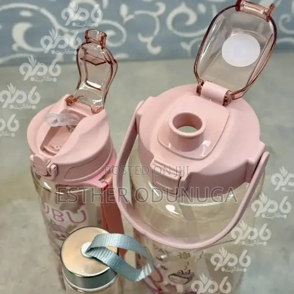 3in1 Character Water Bottle