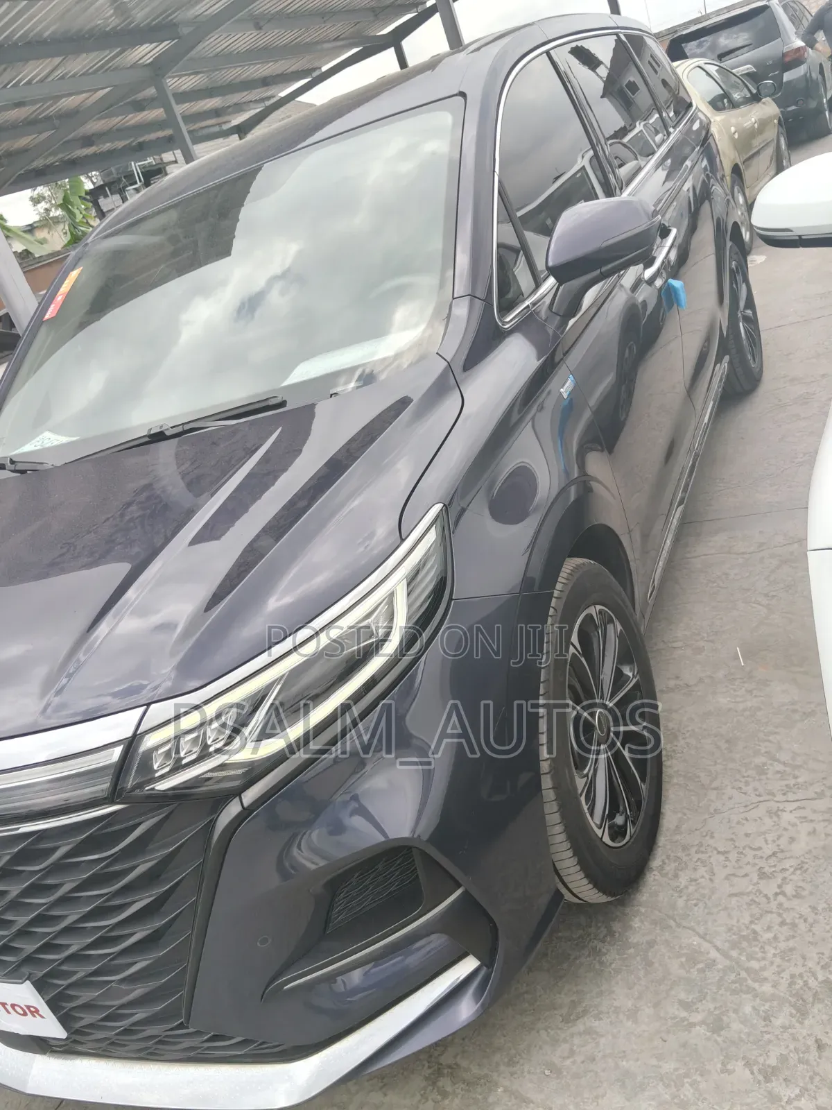 Roewe iMAX8 2020 Blue