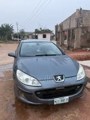 Peugeot 407 3.0 V6 2007 Blue