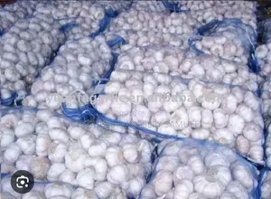 Foreign Garlics