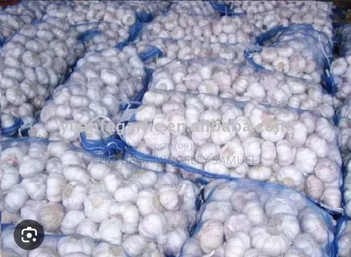 Foreign Garlics