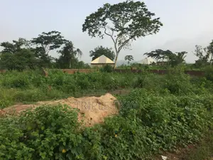 A Plot of Land for Sale