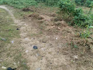 7 Plots of Land Available