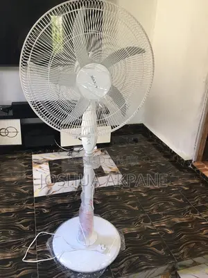 Standing Fan