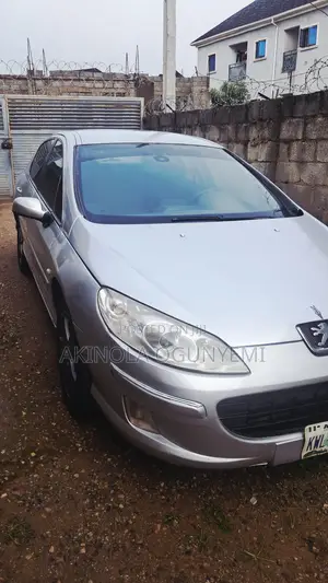 Peugeot 407 2006 Gray