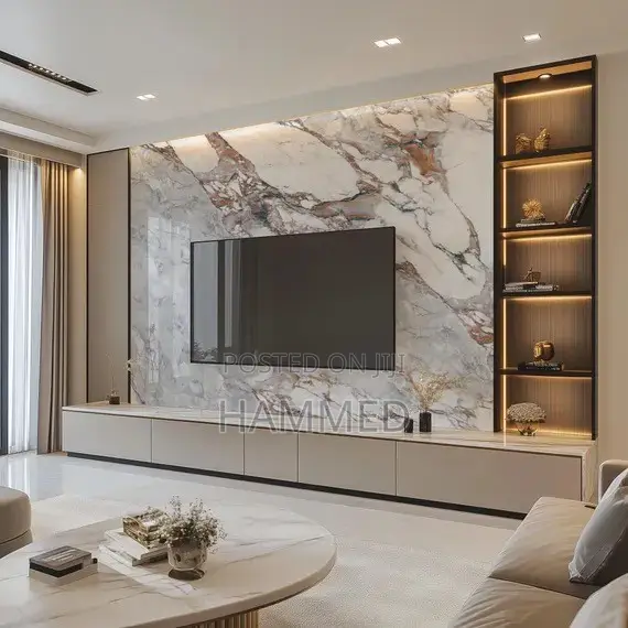 TV Panel and Console