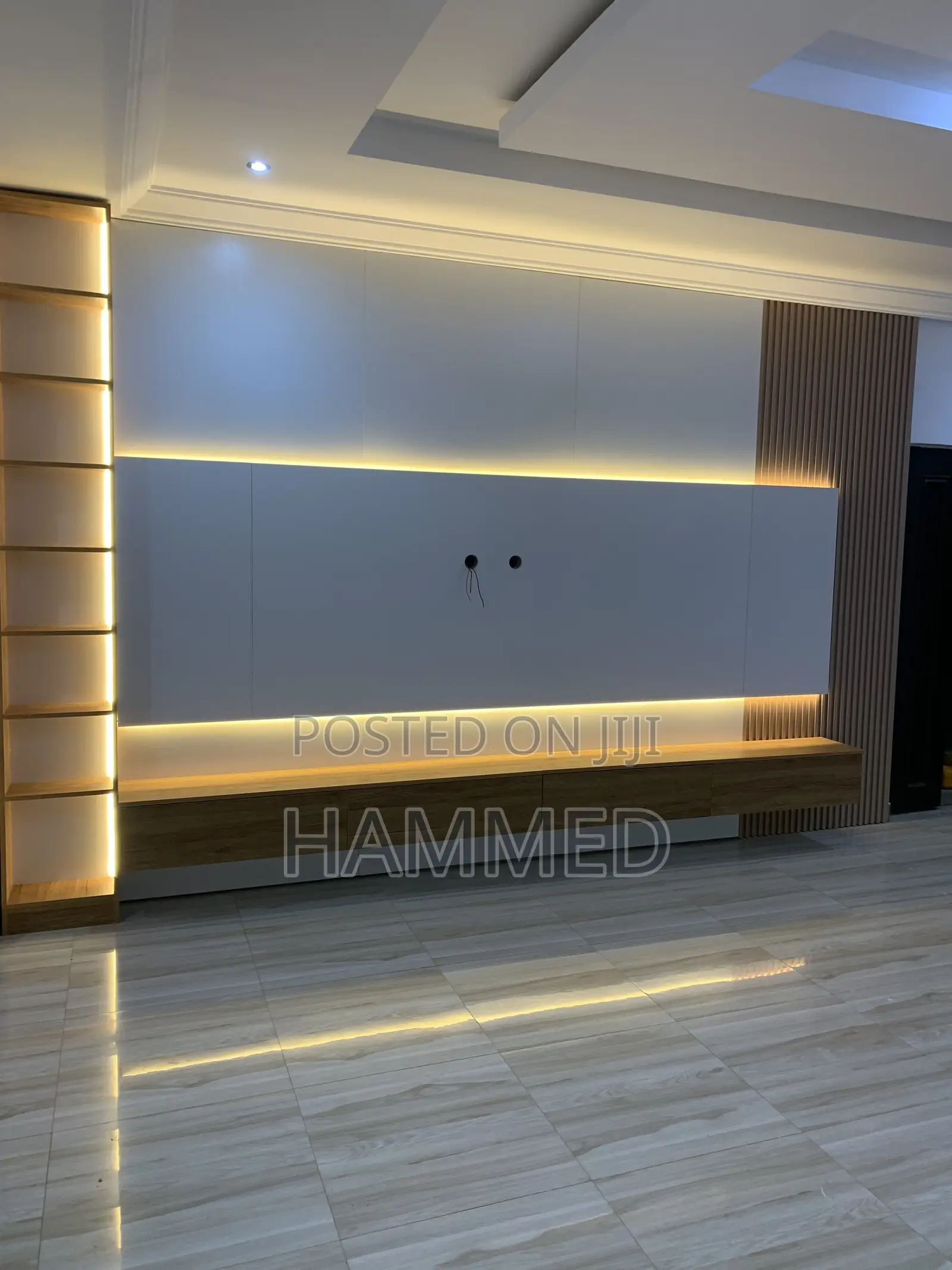TV Panel and Console