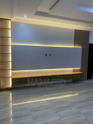 TV Panel and Console