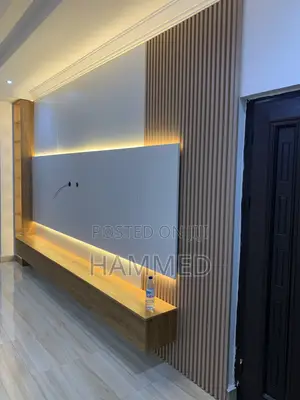 TV Panel and Console