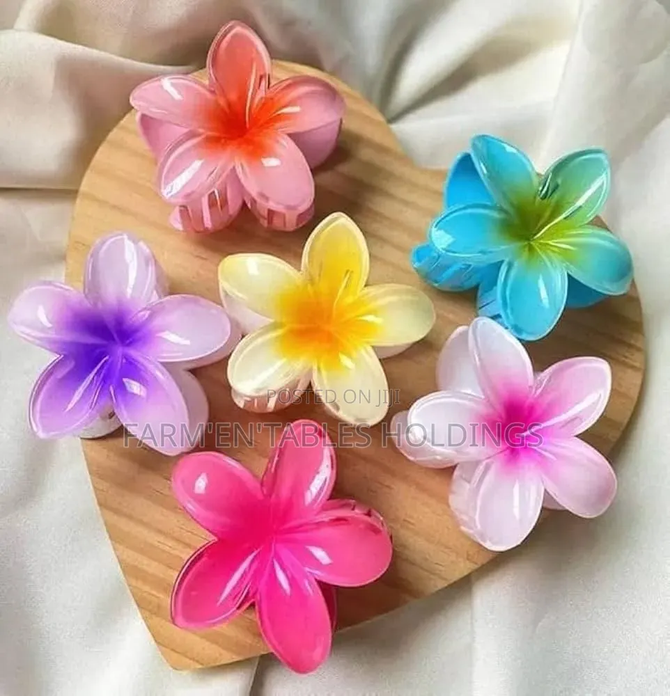 Hair Claw Clips