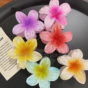 Hair Claw Clips