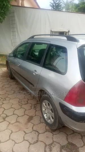 Peugeot 307 SW 1.6 2005 Silver