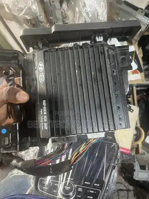 Hyundai Santafe Amplifier