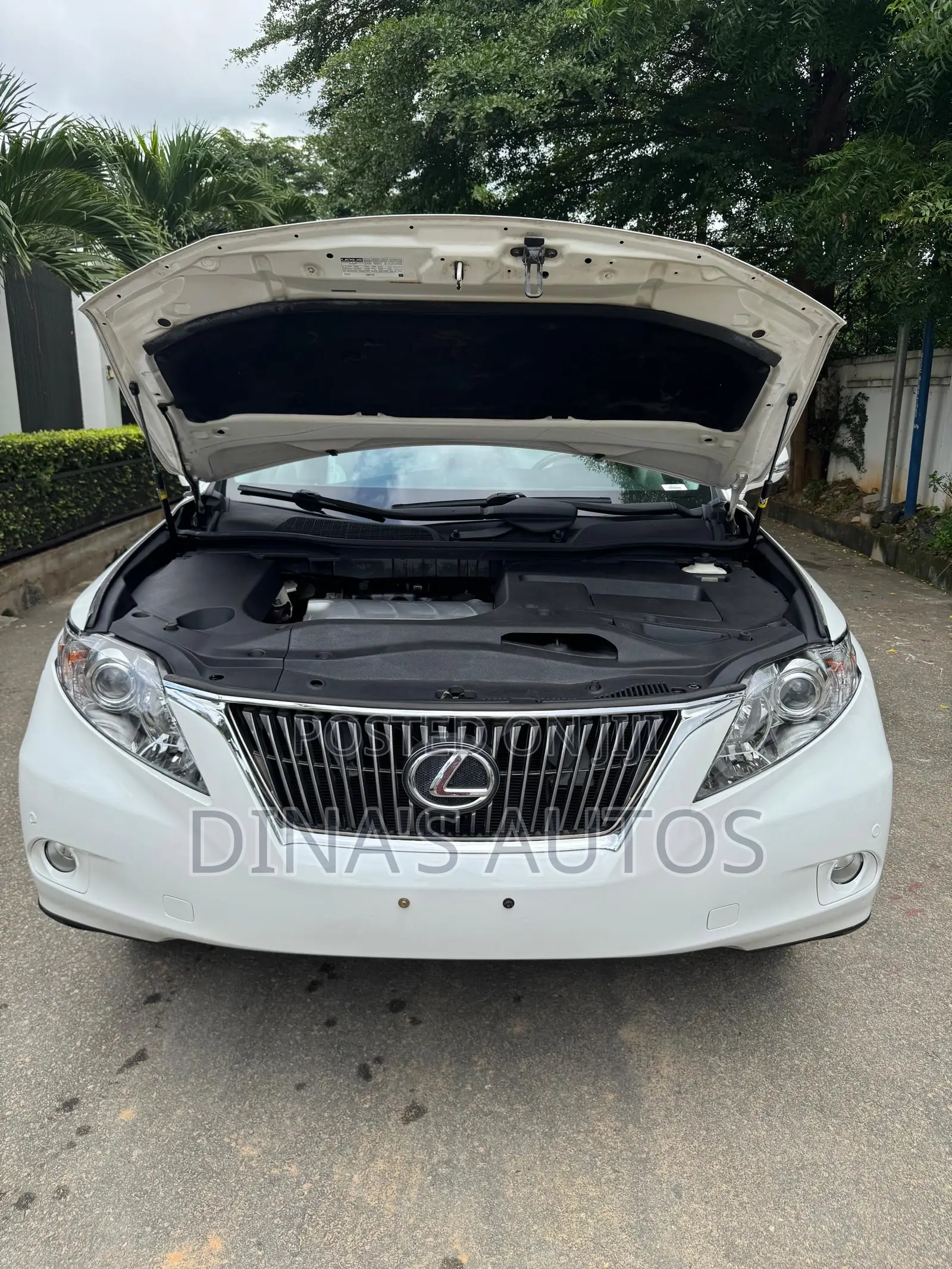 Lexus RX 2010 White