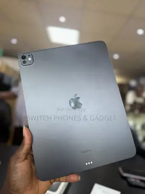 Apple iPad Pro 13 (2024) 256 GB Gray