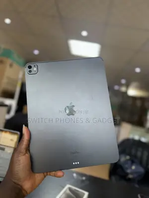 Apple iPad Pro 13 (2024) 256 GB Gray