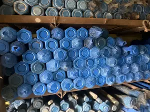 17/8 X 435 Mm Xylan-Coated Heavy Hex Ptfe Stud Bolt and Nuts