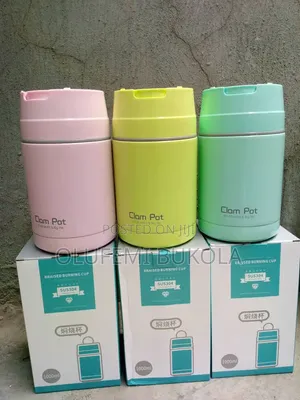 Food Flask