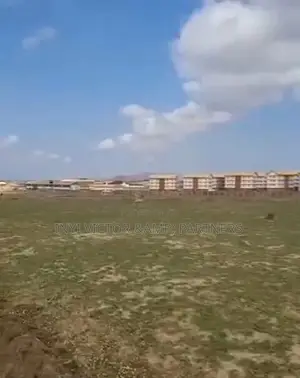 100 Hectares of Plot of Land for Sale